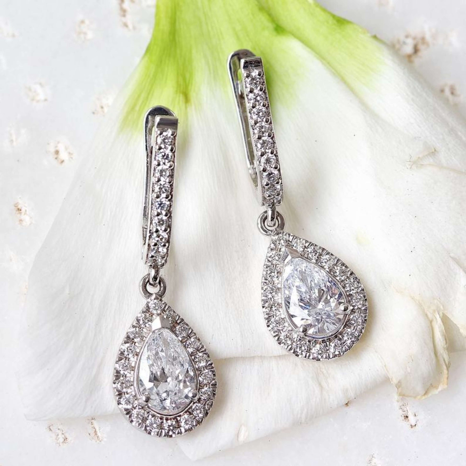 Pear Cut Moissanite Halo Earrings